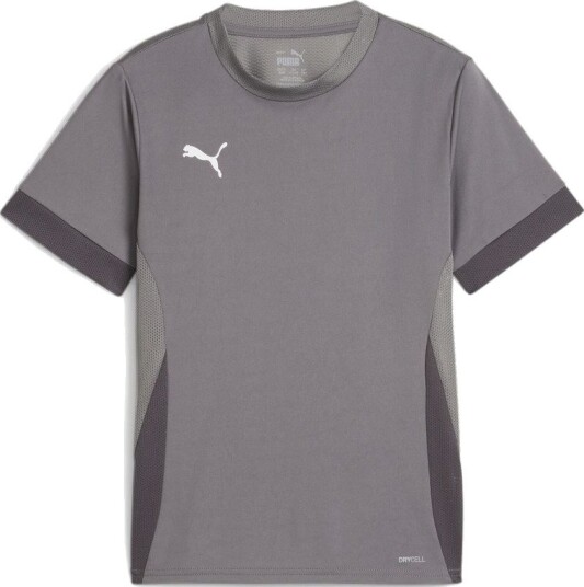 PUMA Trenings T Skjorte teamGOAL Grå/PUMA White Barn størrelse 164 cm