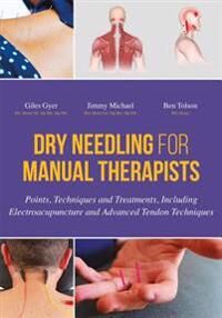 Dry Needling For Manual Therapists Av Giles Gyer, Jimmy Michael, Ben Tolson