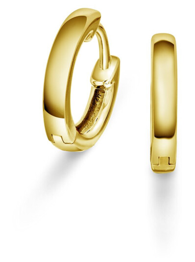 Pan Jewelry, Øreringer i 925 forgylt sølv Pan Jewelry, Øreringer i 925 forgylt sølv