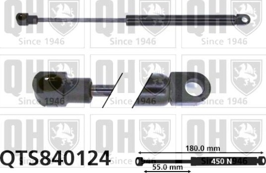 QUINTON HAZELL QTS840124 Baklukedemper