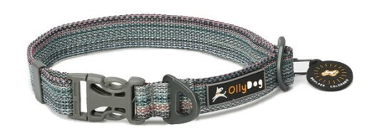 OllyDog Flagstaff Adj Leash Repurpose