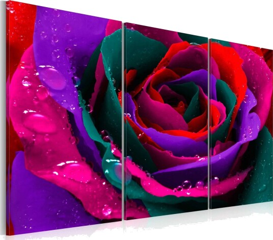 Bilde Rainbow Farget Rose 60x40 Artgeist sp. z o. o.