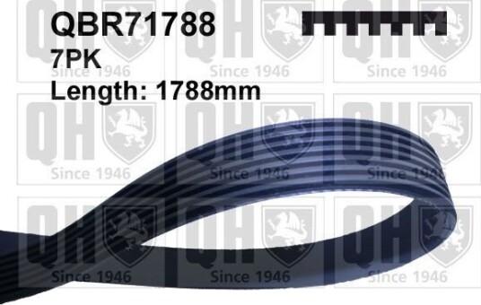 QUINTON HAZELL QBR71788 Multireim