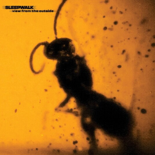 Sleepwalk View From The Outside Vinyl