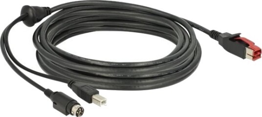 Delock Strømforsynt Usb Kabel Usb Pluspower 24 V Hann Til Usb Type B Power Mini Din Hann 24 V 5 M Svart