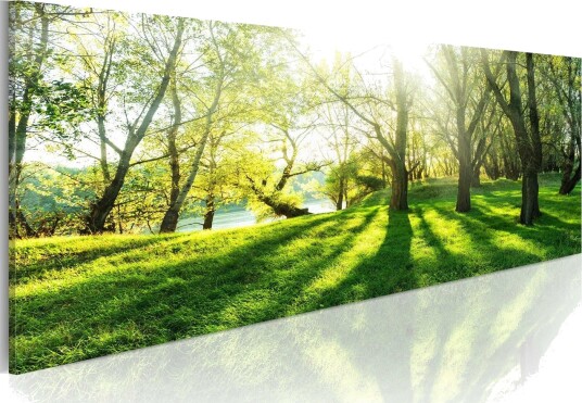 Bilde Rays Of Sunshine 120x40 Artgeist sp. z o. o.