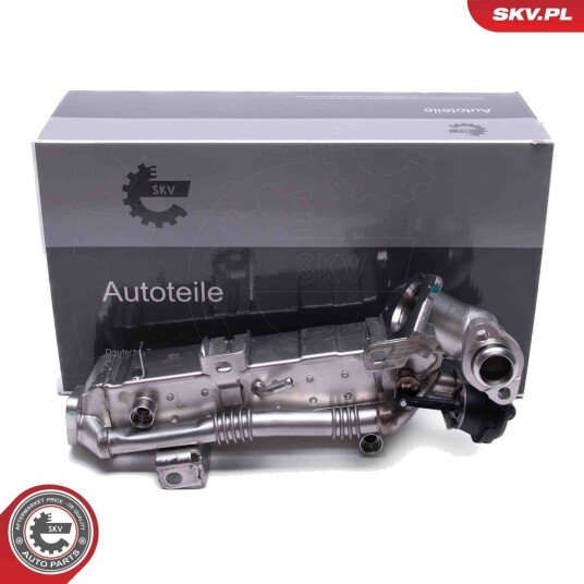 EGR Ventil ESEN SKV 14SKV239