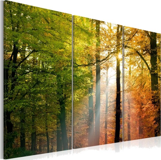 Bilde A calm autumn forest 90x60 Artgeist sp. z o. o.