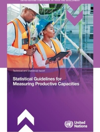 Statistical Guidelines for Measuring Productive Capacities