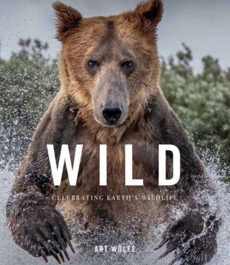 Wild Lives Av Gregory Green
