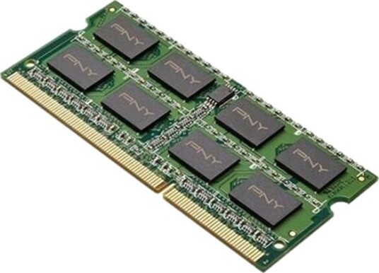PNY - DDR3L - module - 8 GB - SO-DIMM 204-pin - 1600 MHz / PC3L-12800 - unbuffered