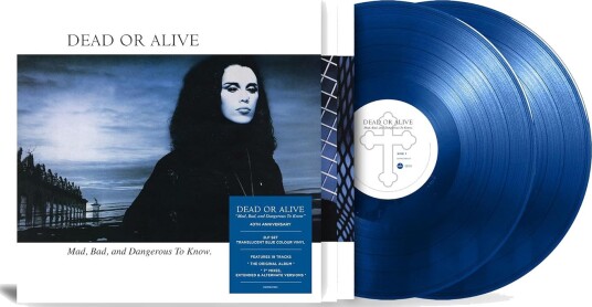Dead Or Alive Mad Bad And Dangerous To Know Vinyl