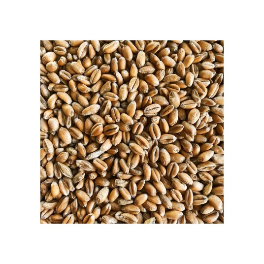 Torrified Wheat - 1 kg knust Simpsons Malt - 2.5 - 5.0 EBC