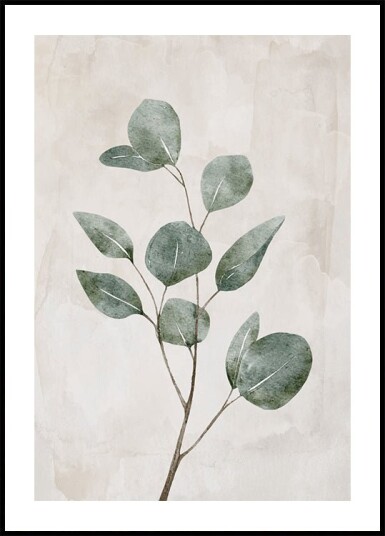 Watercolor Eucalyptus Plakat Plakat / 21x30cm