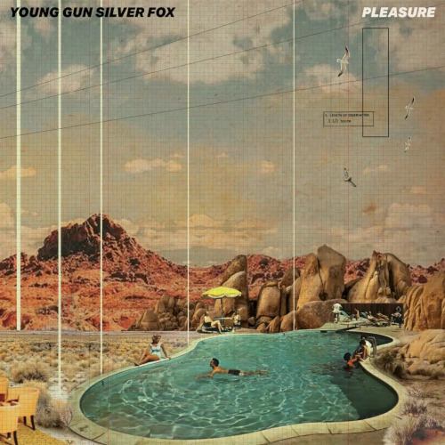 Young Gun Silver Fox Pleasure CD