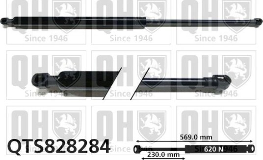 QUINTON HAZELL QTS828284 Baklukedemper