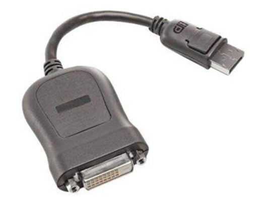 Lenovo DisplayPort adapter - 20 cm