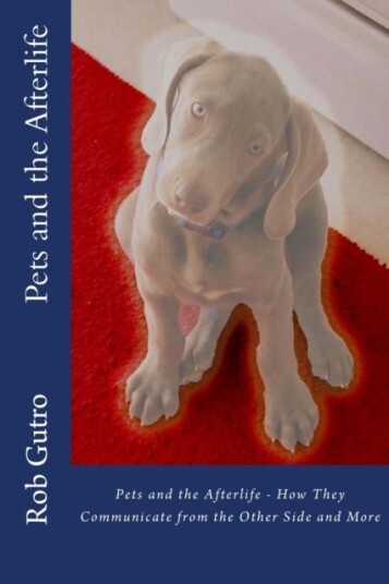 Pets and the Afterlife Pets and the Afterlife