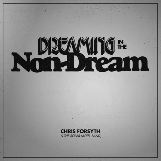 Chris Forsyth & The Solar Motel Band Dreaming In The NonDream LP/Vinyl