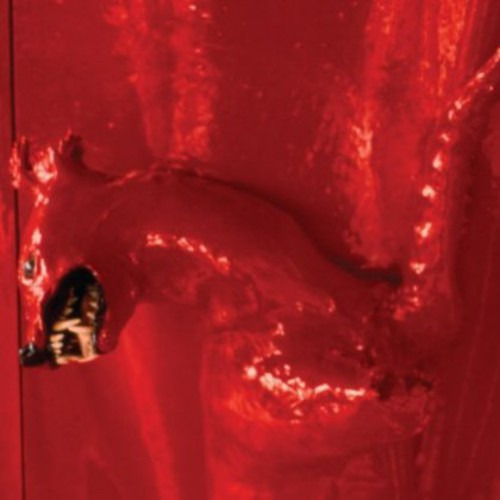 William Basinski A Red Score In Tile CD
