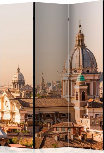 Romdeler - Rome - bird's eye view 135x172 - Artgeist sp. z o. o.