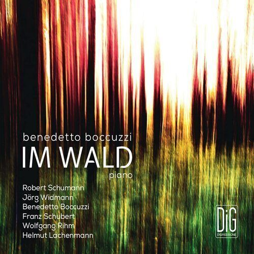 MediaTronixs Benedetto Boccuzzi : Benedetto Boccuzzi: Im Wald CD (2022) Pre-Owned