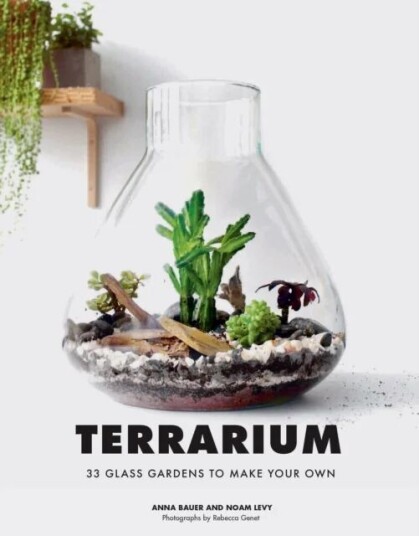 Terrarium Av Anna Bauer, Noan Levy Terrarium Av Anna Bauer, Noan Levy