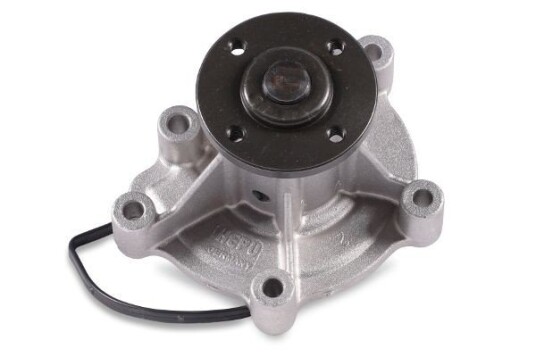 HEPU P141 Vannpumpe HEPU P141 Vannpumpe