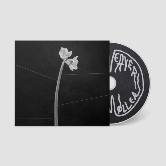 Trentemøller Dreamweaver (CD) Trentemøller Dreamweaver (CD)