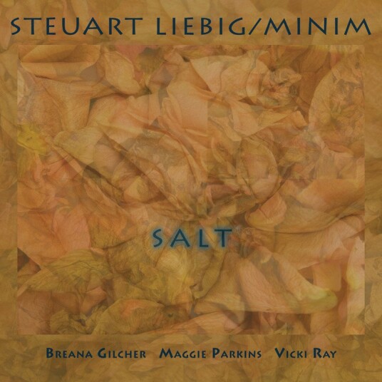 Steuart Liebig/Minim Salt CD