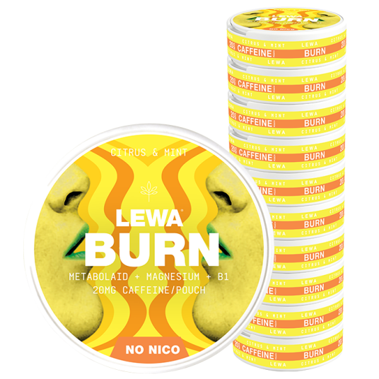 10 x LEWA Functional NoNico BURN Citrus/Mint