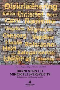 Barnevern I Et Minoritetsperspektiv Av Ketil Eide, Marianne Rugkåsa, Signe Ylvisaker