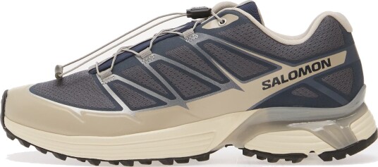 Joggesko Salomon XT PATHWAY 2 Grisai/ Ftw Silver/ Rain EUR 42 2/3