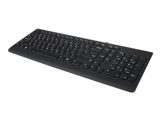 Lenovo 300 Usb Usa GX30M39655