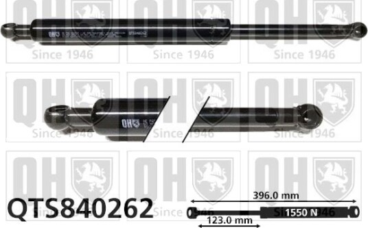 QUINTON HAZELL QTS840262 Baklukedemper