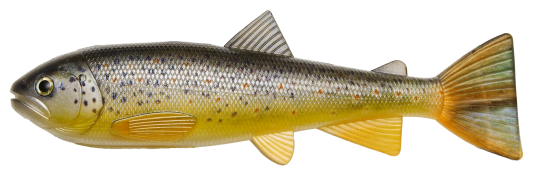 PulzBait Starter Kit Trout 20cm   Brown Trout