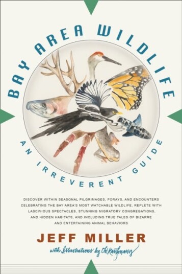 Bay Area Wildlife An Irreverent Guide