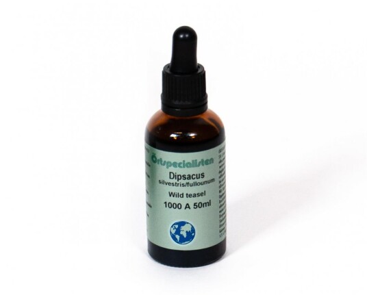 KARDEBORREROT / DIPSACUS 50 ml KARDEBORREROT / DIPSACUS 50 ml