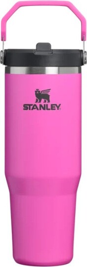 Stanley Iceflow Flip Straw 2.0