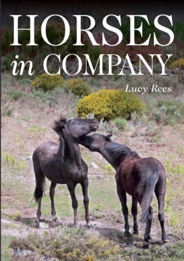 Horses In Company Av Lucy Rees Horses In Company Av Lucy Rees