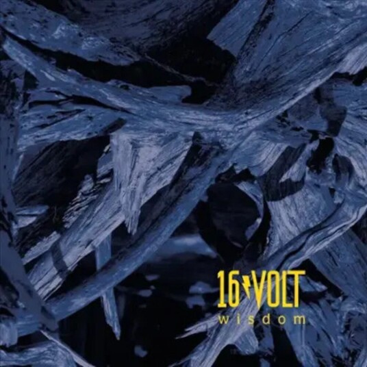 16volt Wisdom LP/Vinyl 16volt Wisdom LP/Vinyl