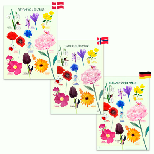 Ciha  Plakat 50 x 70 cm Fargene og blomstene