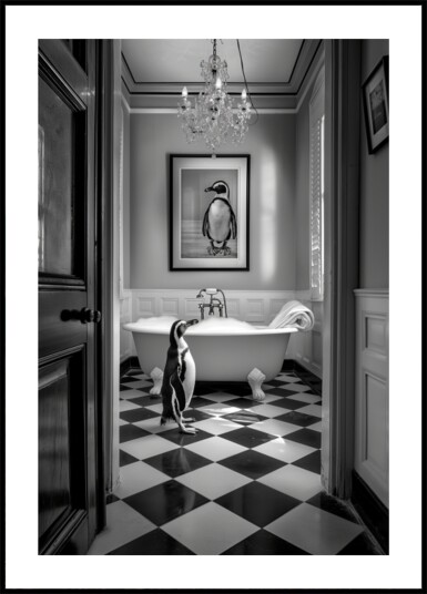 Curious Penguin Bathtime Plakat / 70x100 Curious Penguin Bathtime Plakat / 70x100