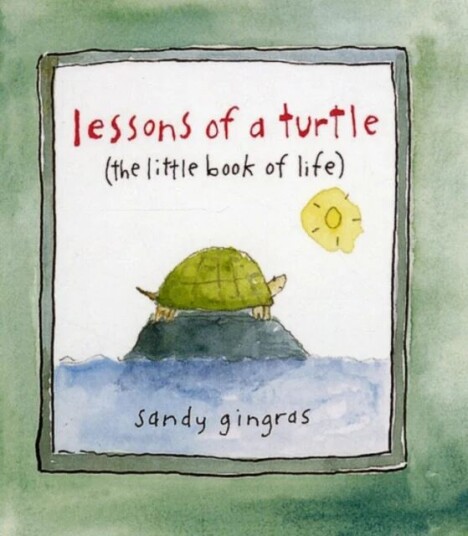 Lessons Of A Turtle Av Sandy Gingras