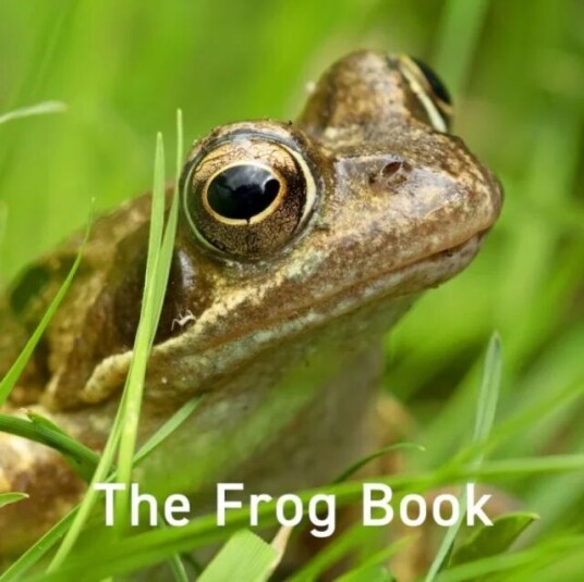 Frog Book, The Av Jo Byrne Frog Book, The Av Jo Byrne