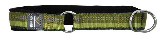 Equip Half Choke Dog Collar