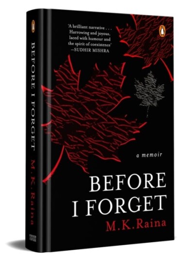 Before I Forget  A Memoir