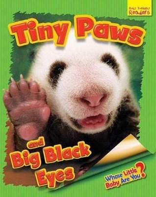 Whose Little Baby Are You? Tiny Paws and Big Black Eyes Whose Little Baby Are You? Tiny Paws and Big Black Eyes