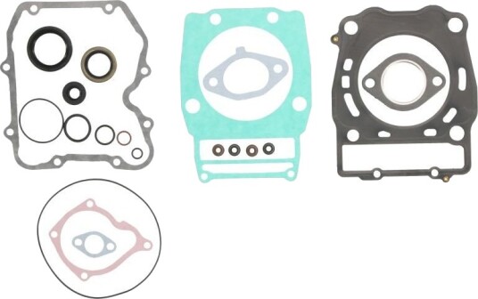 Tetnings helsett motor WINDEROSA 811903