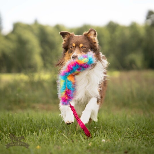 Doggie Zen Knitrende Bungee Hundeleke Sommerfarger L